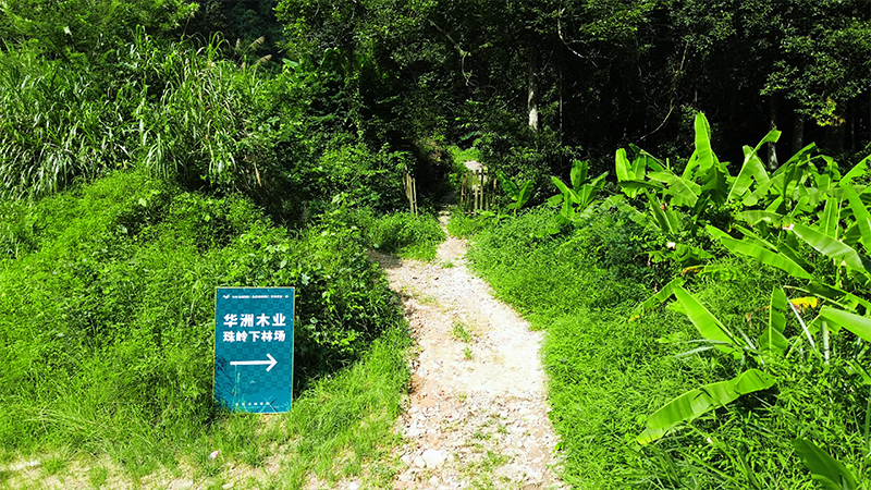 嚴格選材，只為一張好板材！(圖1)